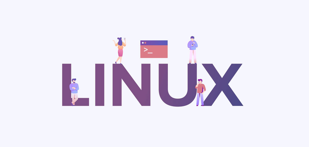 The Pi Zero will run on Linux and other systems.